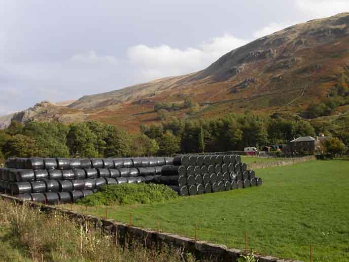 Farming in the Lake District